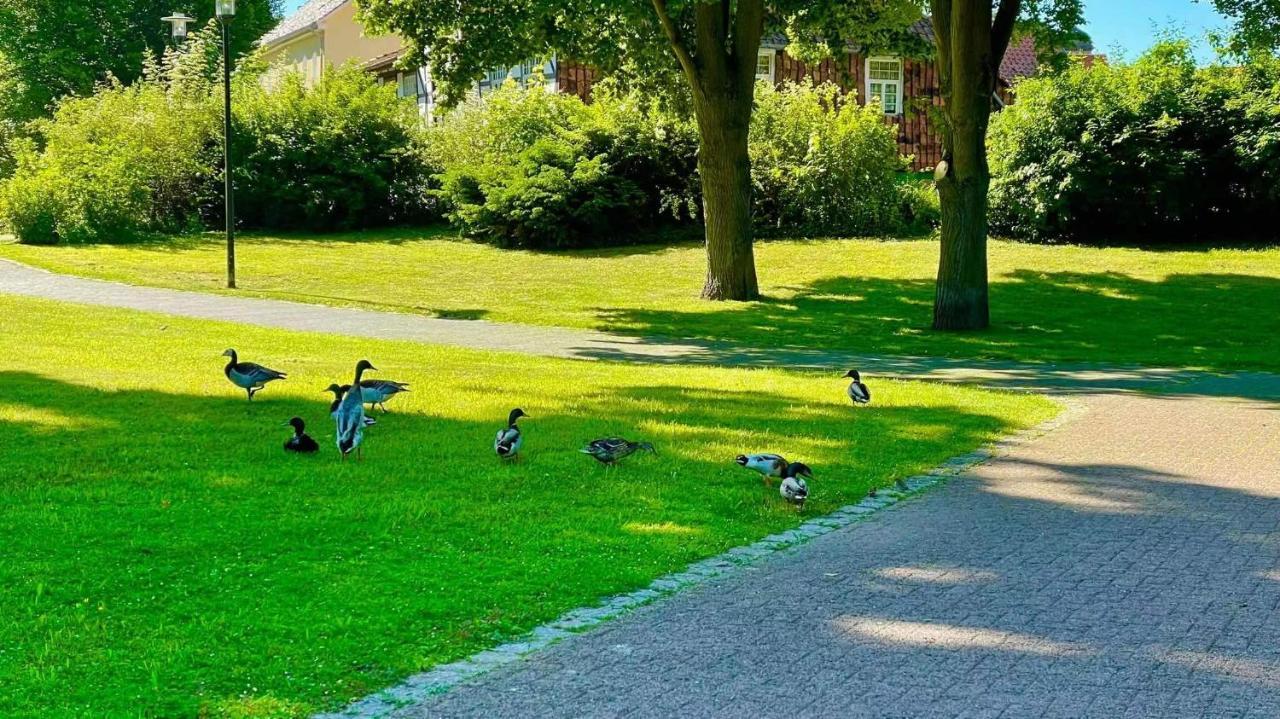 Gaestehaus Ambiente Am Kurpark Бад-Зоден-Аллендорф Экстерьер фото